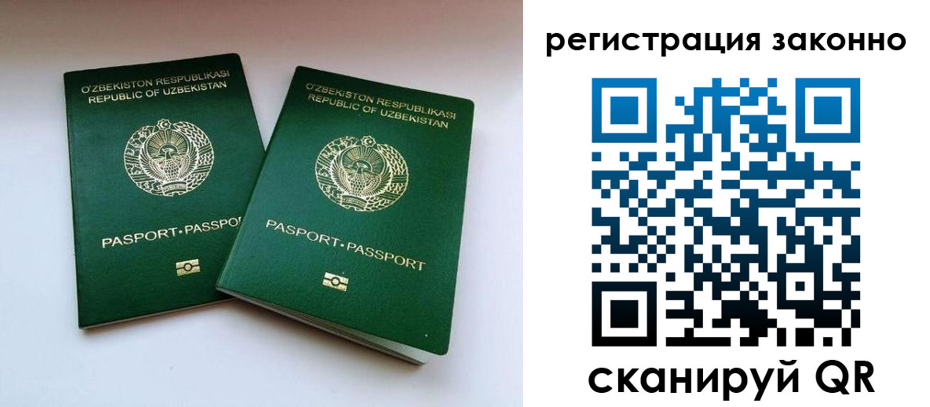 прописка гарантия в Ростовской области